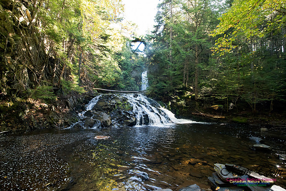 Butcher's Falls