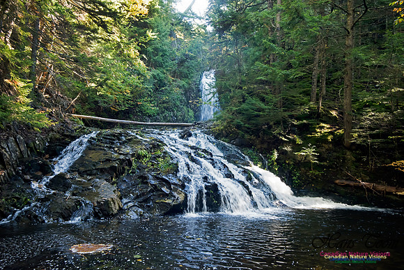 Butcher's Falls