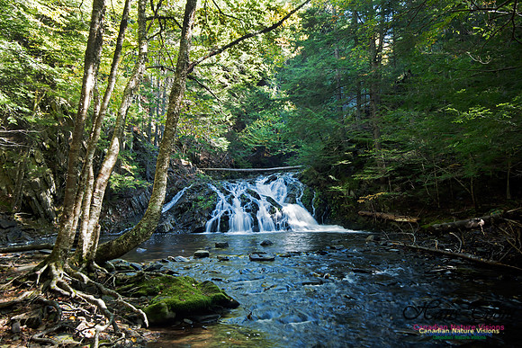 Butcher's Falls