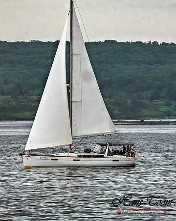 Harbour Traffic 116