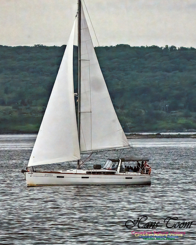 Harbour Traffic 116