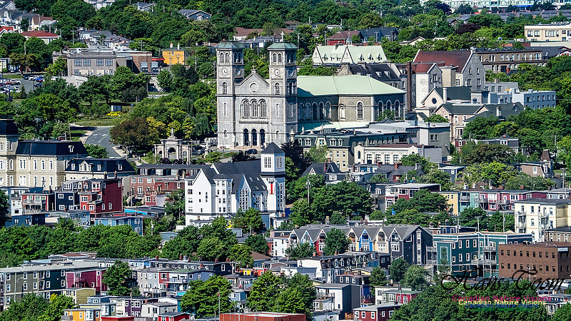 St. John's, Newfoundland 126