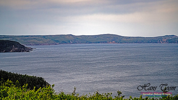 Baccalieu Coastal Drive 103