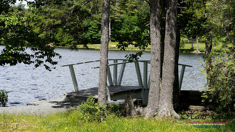 Foot Bridge Mount Uniacke 100