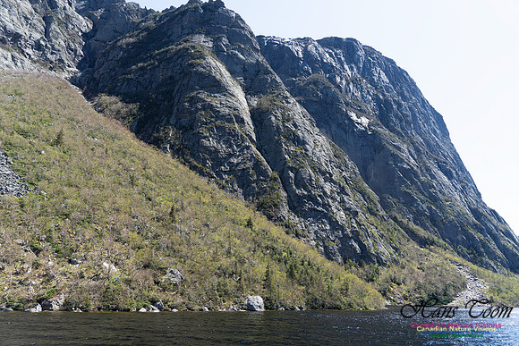 Western Brook Pond 101