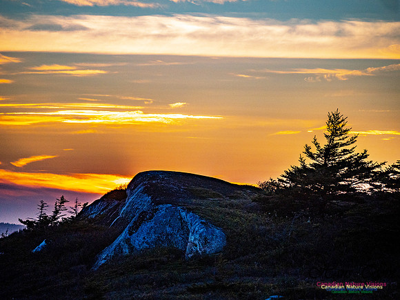 Swiss Air Memorial Sunset 300