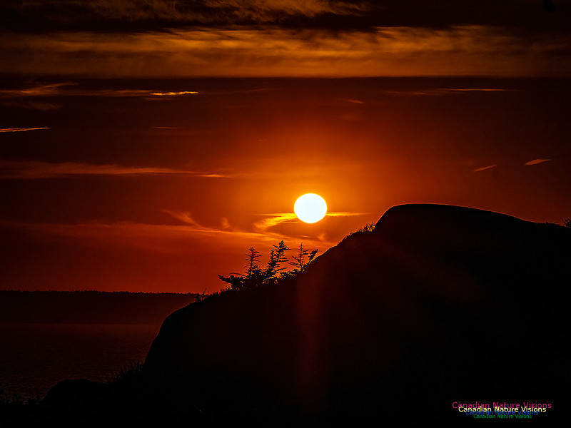 Swiss Air Memorial Sunset 308