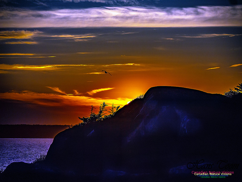Swiss Air Memorial Sunset 305