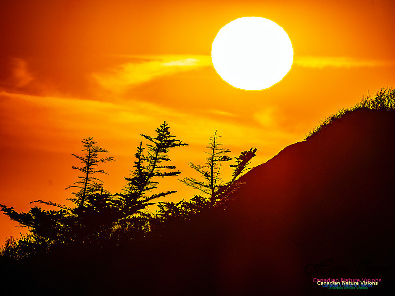 Swiss Air Memorial Sunset 307