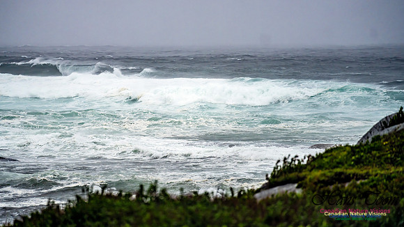 Nova Scotia Gale 2024-09-07 151