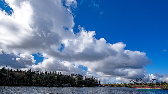 Sambro Loop 123