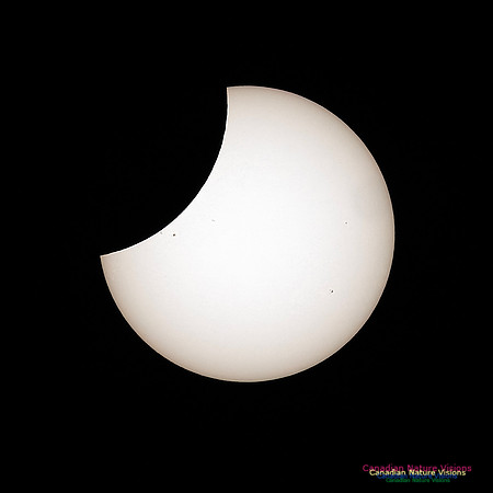 Eclipse August 16, 2026 Uncovering 101