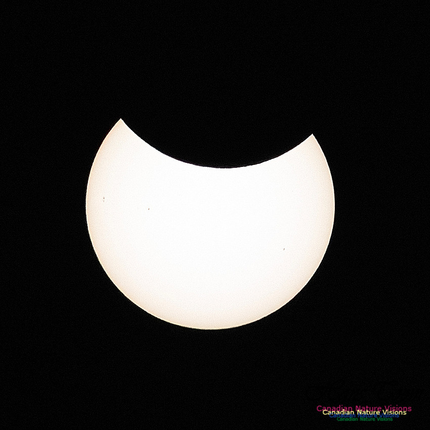 Eclipse August 16, 2026 Covering 99
