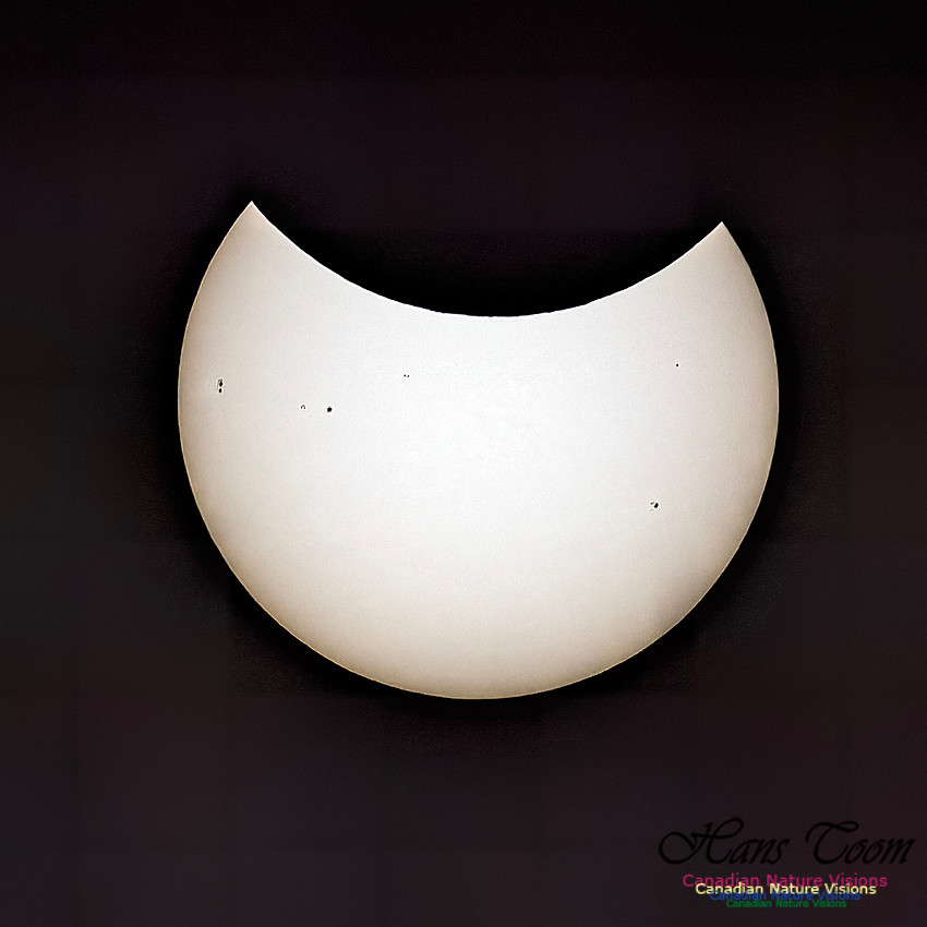 Eclipse August 16, 2026 Covering 100