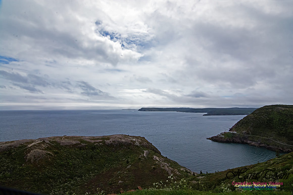 Signal Hill, NL