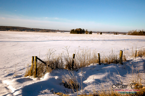 Country Farm in Winter