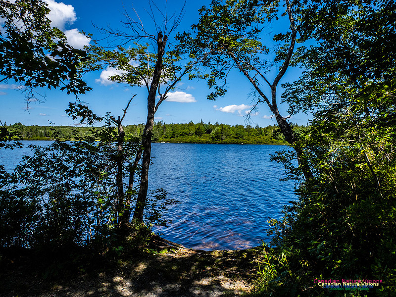 Lewis Lake Walk 108