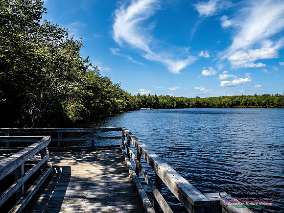 Lewis Lake Walk 111