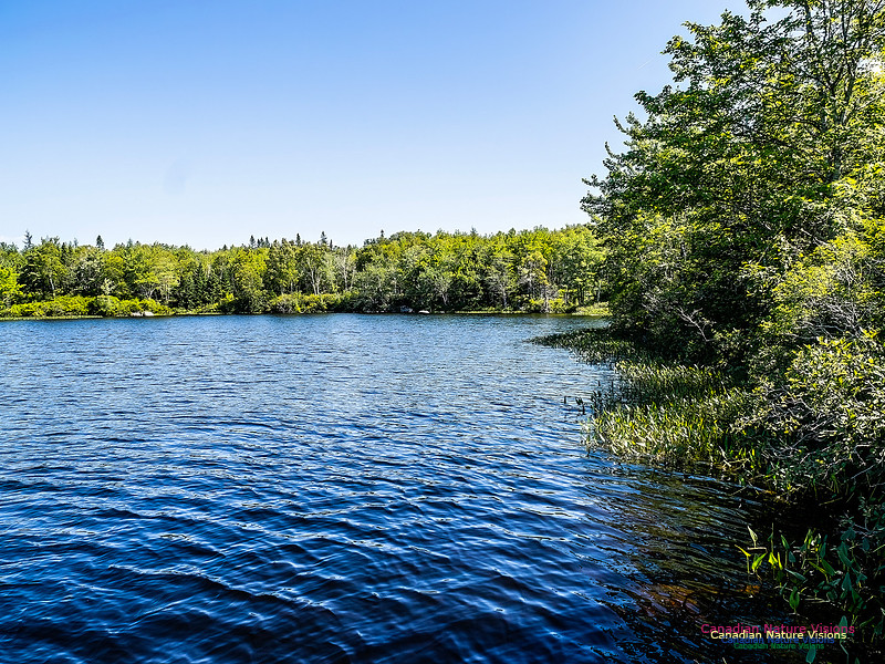 Lewis Lake Walk 112