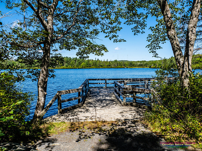 Lewis Lake Walk 116