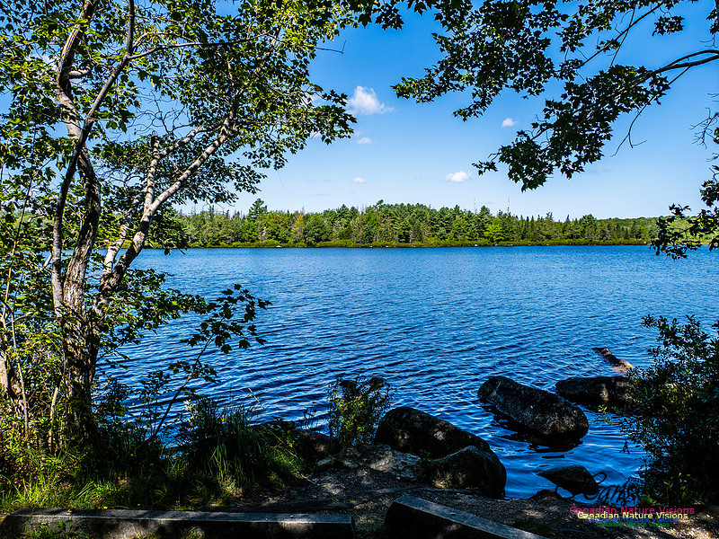 Lewis Lake Walk 117