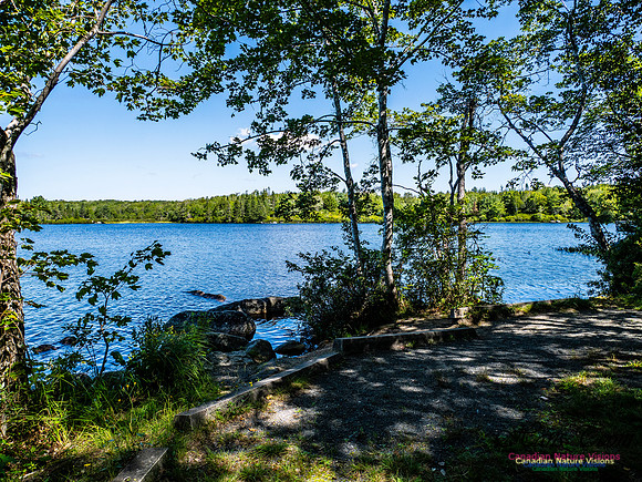 Lewis Lake Walk 118