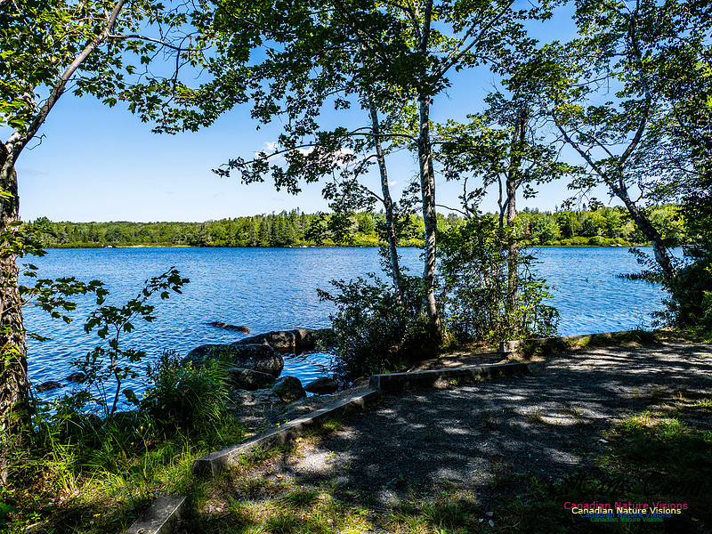 Lewis Lake Walk 118
