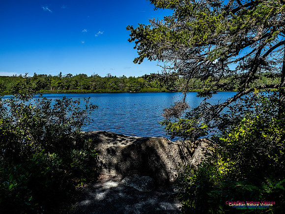 Lewis Lake Walk 122