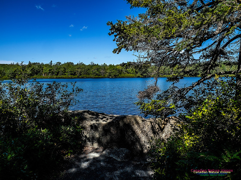 Lewis Lake Walk 122