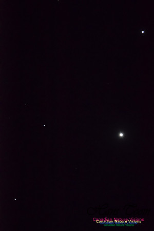 "Conjunction of Jupiter, Venus and Mars, October 27, Halifax, Nova Scotia"
