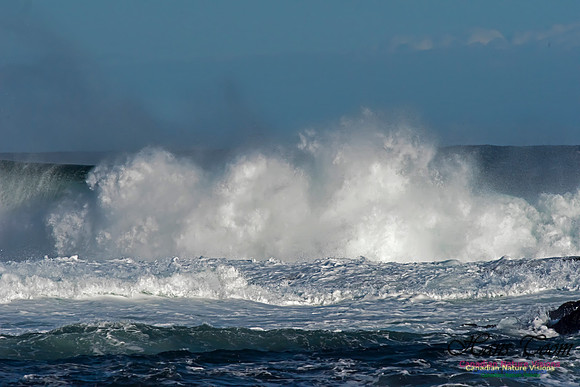 Duncan Reef Gale Surf