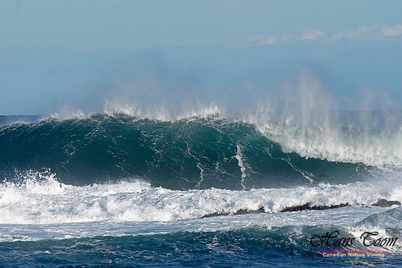 Duncan Reef Gale Surf