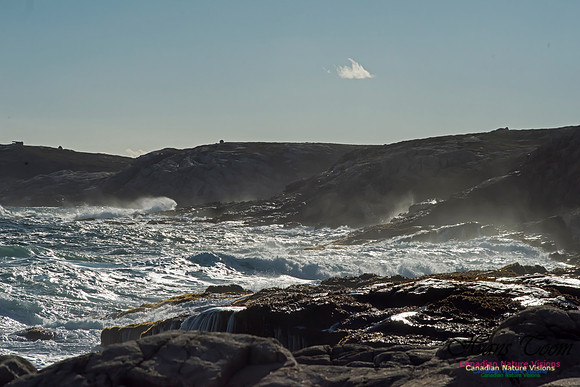 Cliffs and Surf