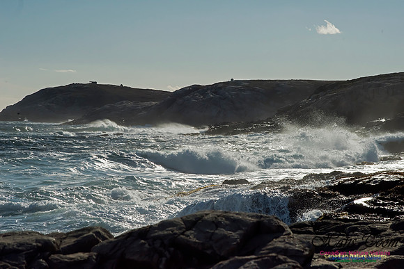 Cliffs and Surf