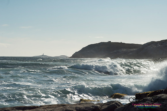 Cliffs and Surf