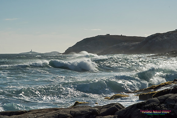 Cliffs and Surf