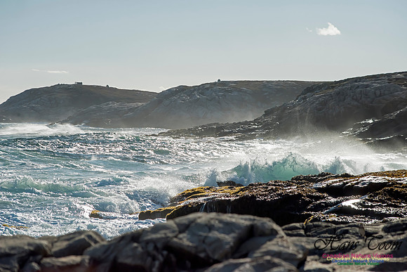 Cliffs and Surf