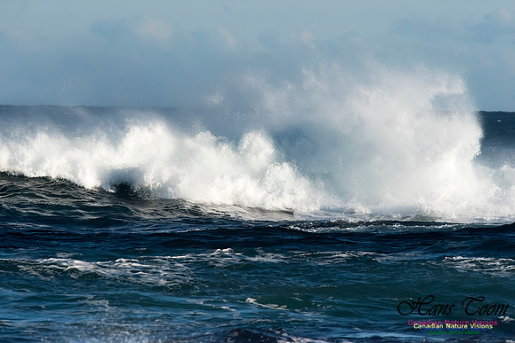 Duncan Reef Gale Surf