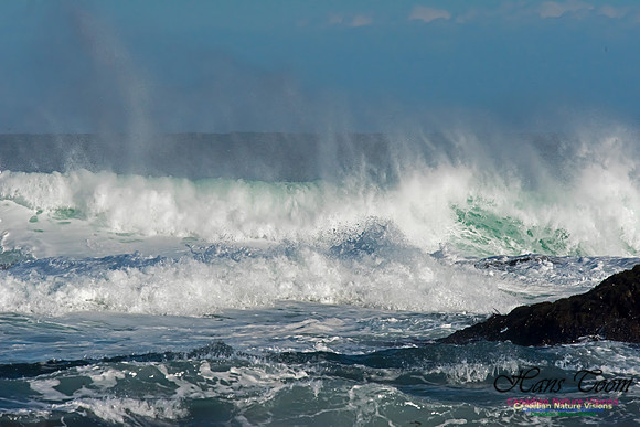 Duncan Reef Gale Surf