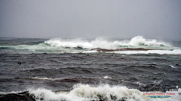 Nova Scotia Gale 2024-09-07 137