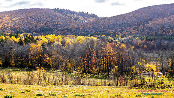 Nova Scotia in Fall 215