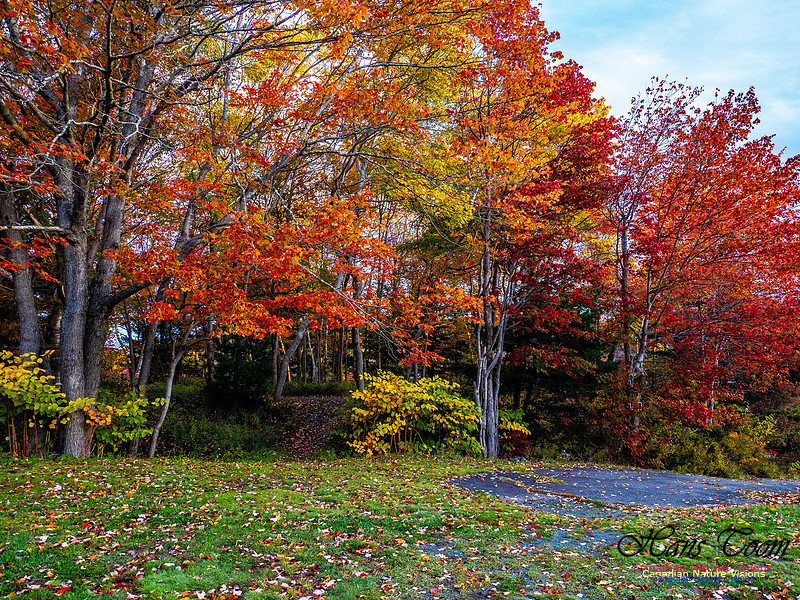 Nova Scotia in Fall 134