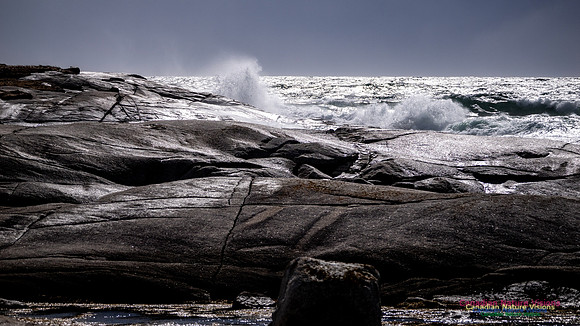 Coastal Tour 115