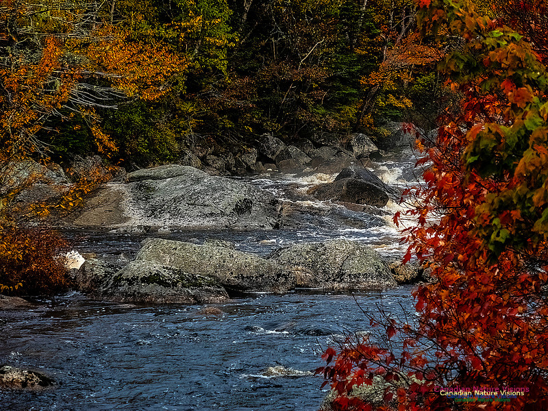 Nova Scotia in Fall 112