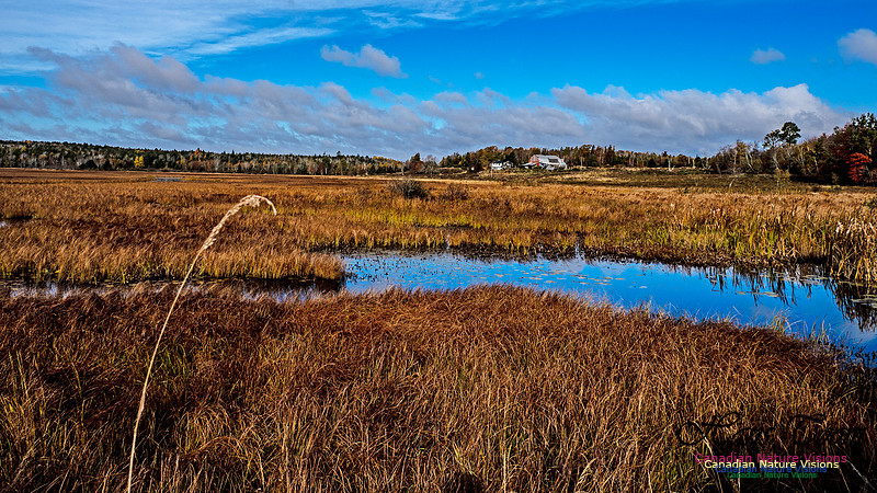 Nova Scotia in Fall 277