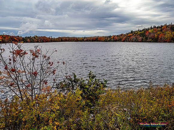 Nova Scotia in Fall 153