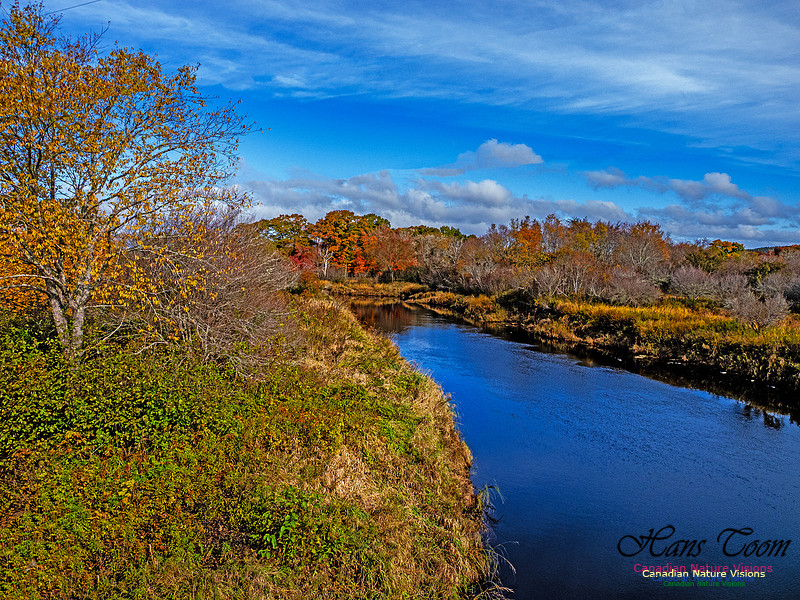 Nova Scotia in Fall 271
