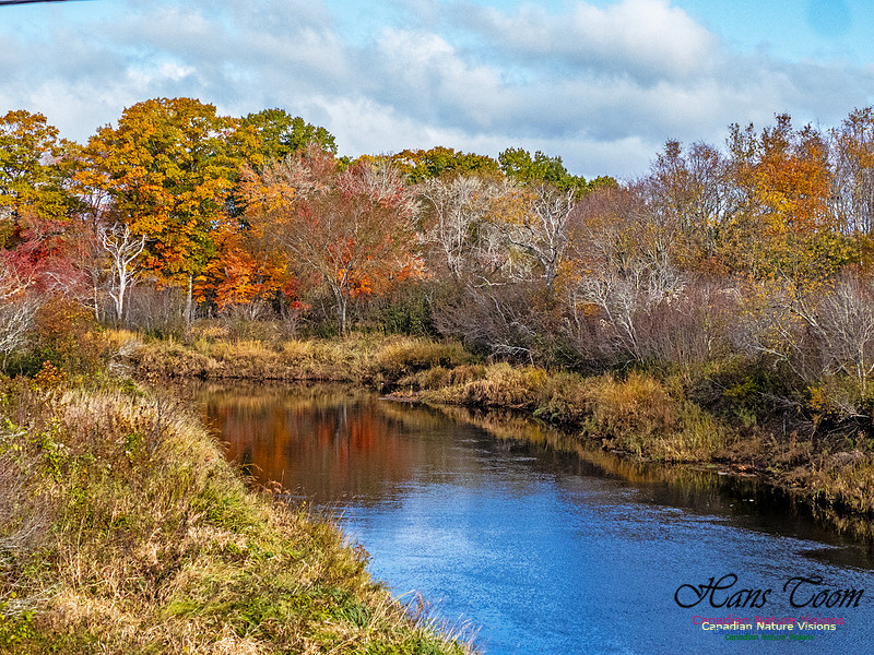 Nova Scotia in Fall 270