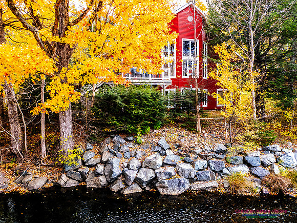 Nova Scotia in Fall 225