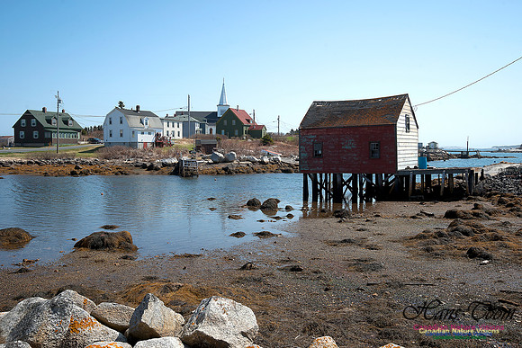 Shoreline Fishing Shack